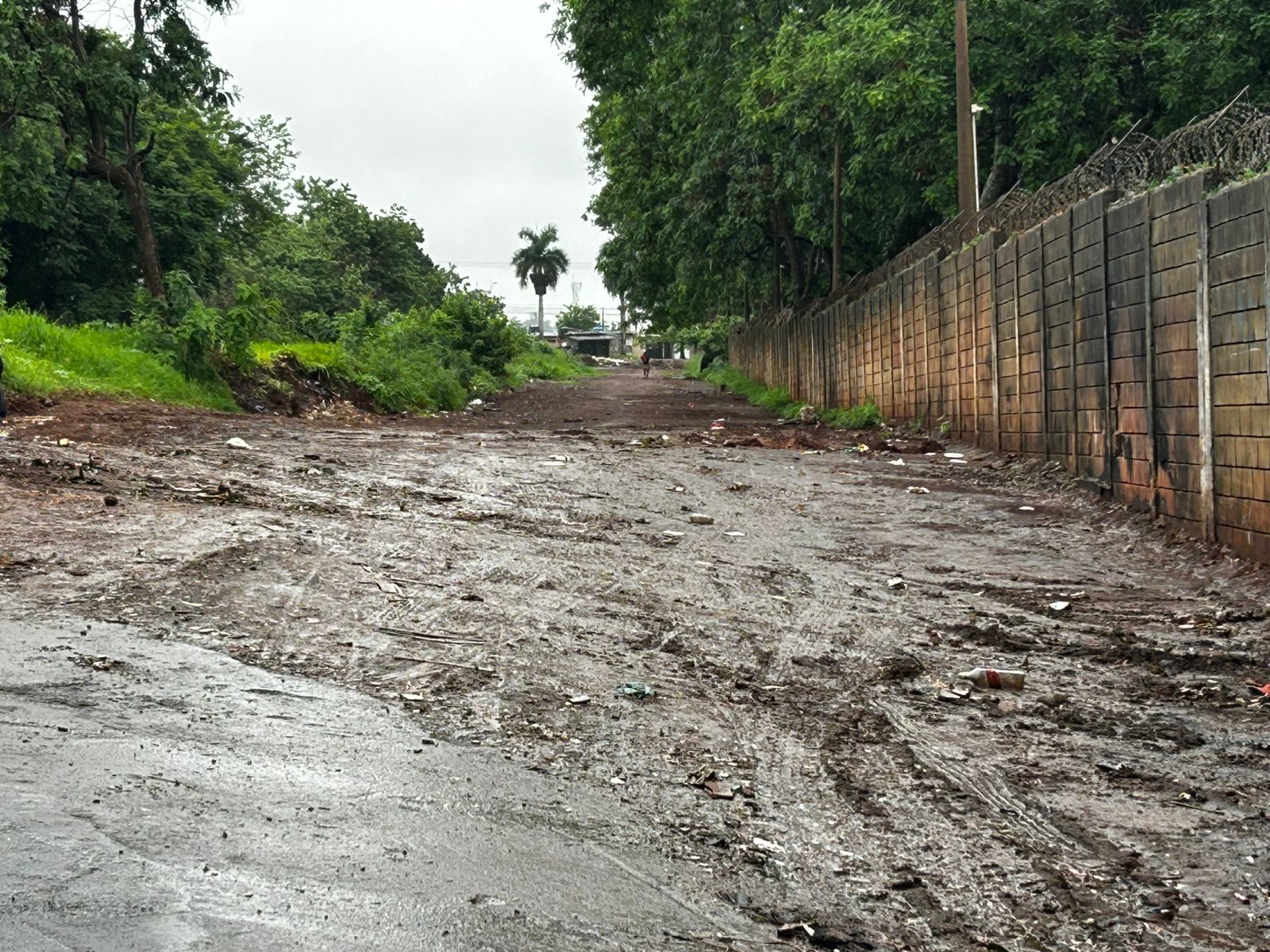 Rua Japurá limpa